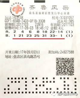 购买彩票双色球,购买彩票双色球，梦想与现实的交织