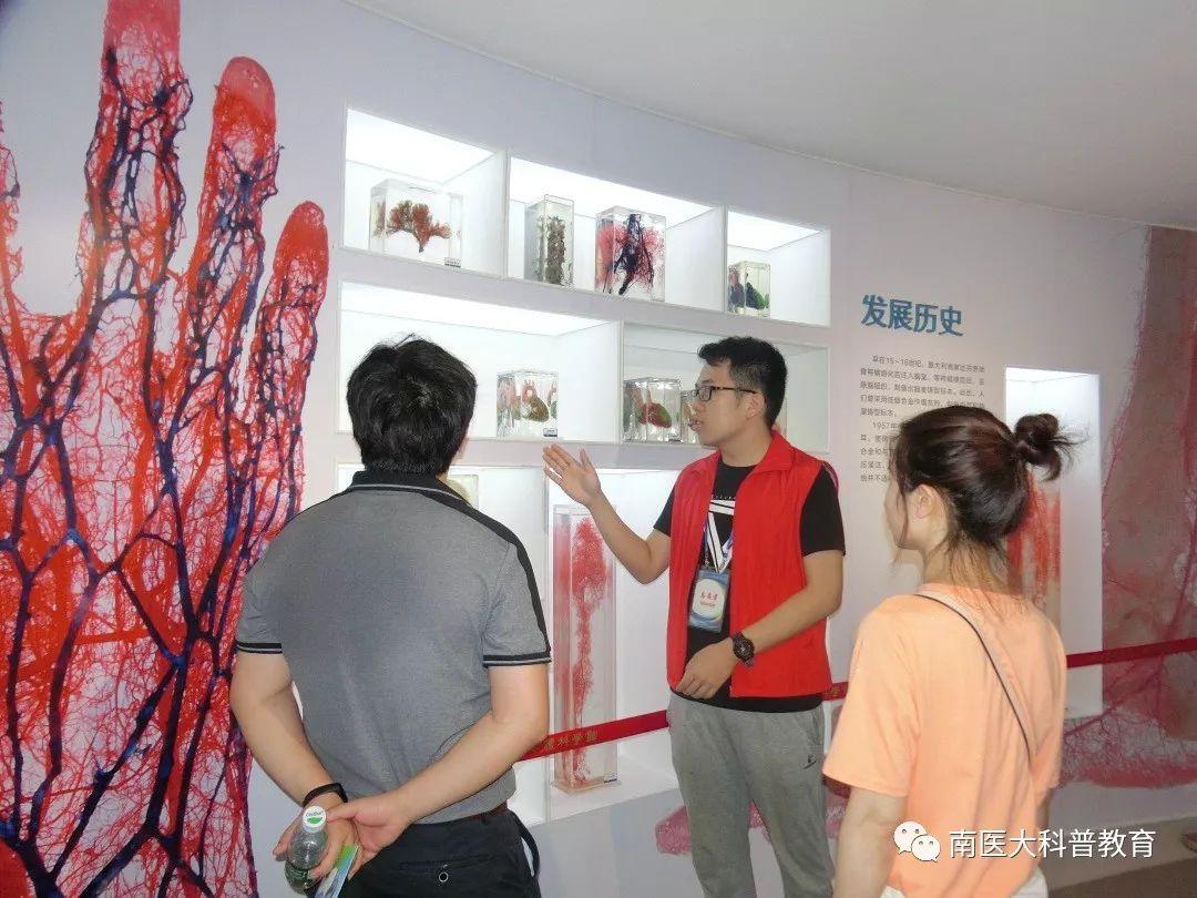 双色球30期开奖结果是多少,揭秘双色球30期开奖结果，幸运数字背后的奥秘