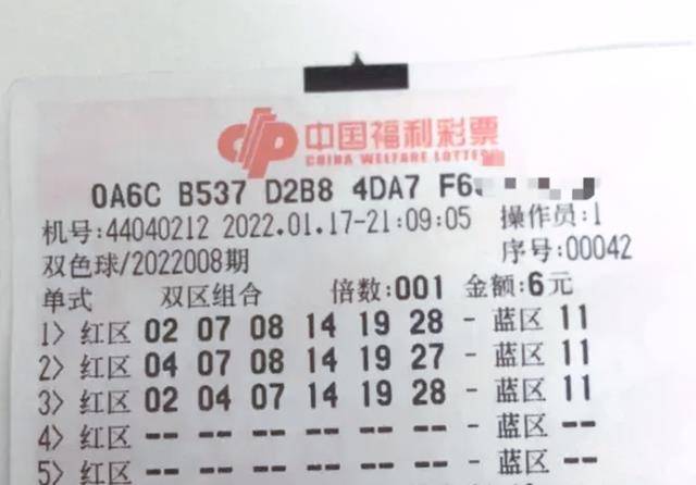 双色球预测论坛静态版,探索双色球预测论坛静态版——理性与趣味的碰撞